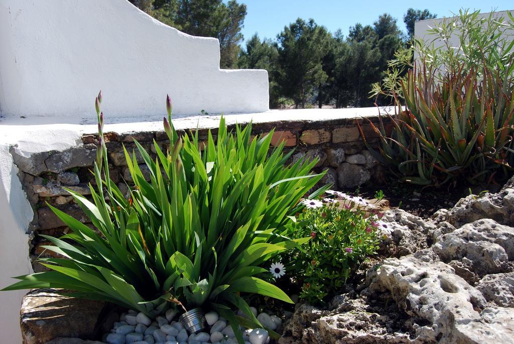 Villa La Roca - A Fusion Of Modern And Typical Andalucian Architecture Montecorto Eksteriør bilde