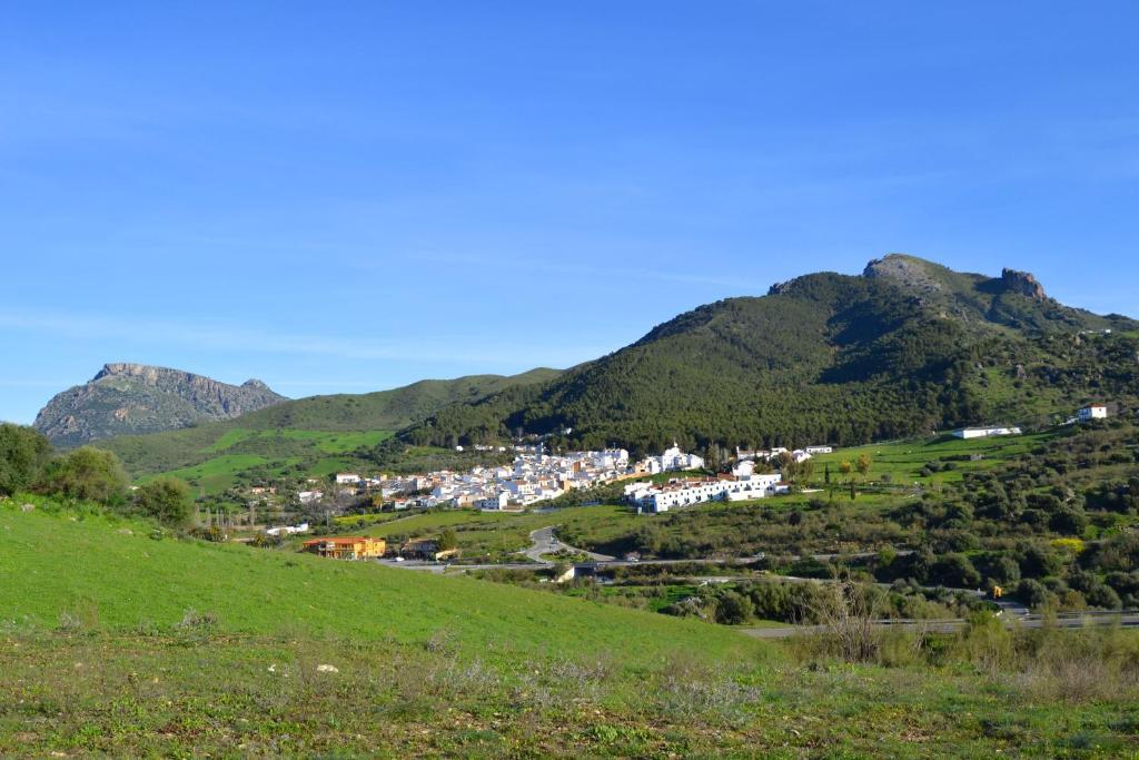 Villa La Roca - A Fusion Of Modern And Typical Andalucian Architecture Montecorto Eksteriør bilde